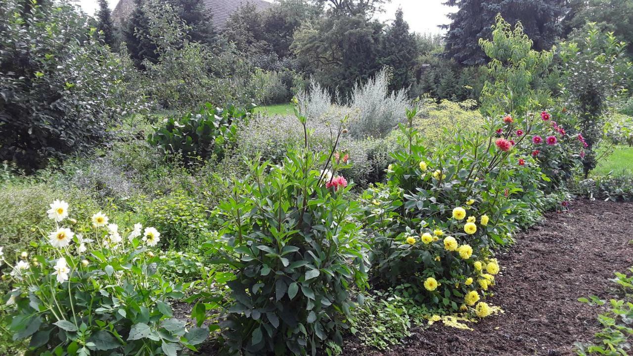 Gaestezimmer Sommer Locktow Dış mekan fotoğraf