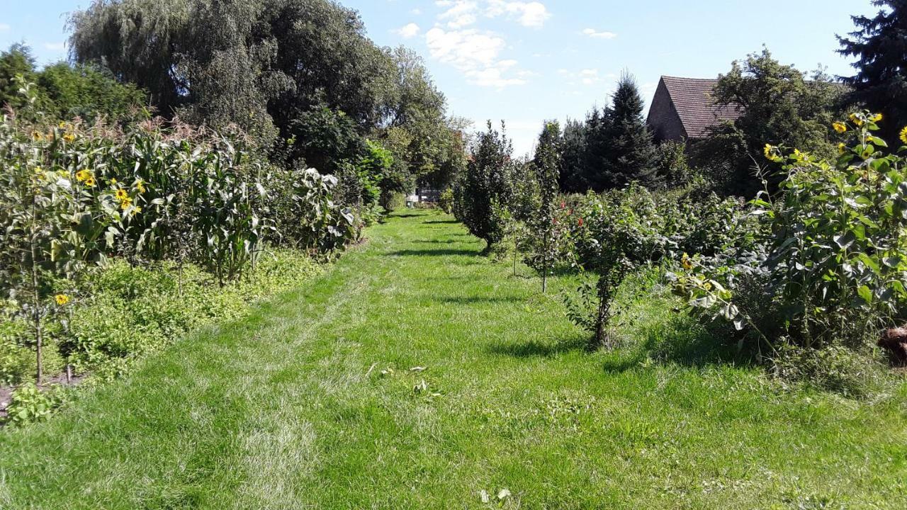 Gaestezimmer Sommer Locktow Dış mekan fotoğraf
